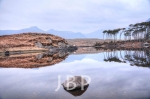 Lake 1.jpg
