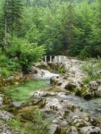 slovenia.jpg