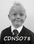 CDNSO78.jpg